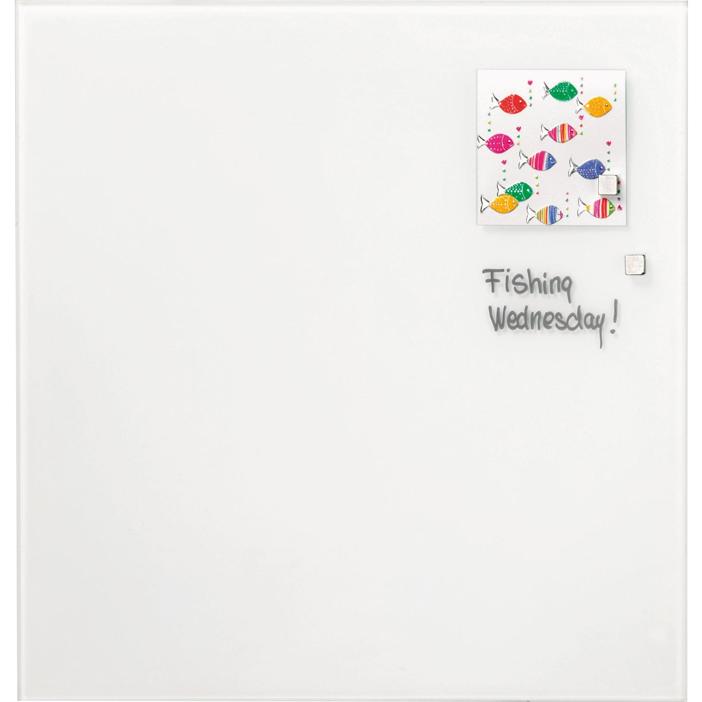 FRANKEN Glasboard 120 x 120 x 0,4 cm (B x H x T) Tafel magnethaftend inkl. 2 Neodymmagnete Tempered Glas reinweiß