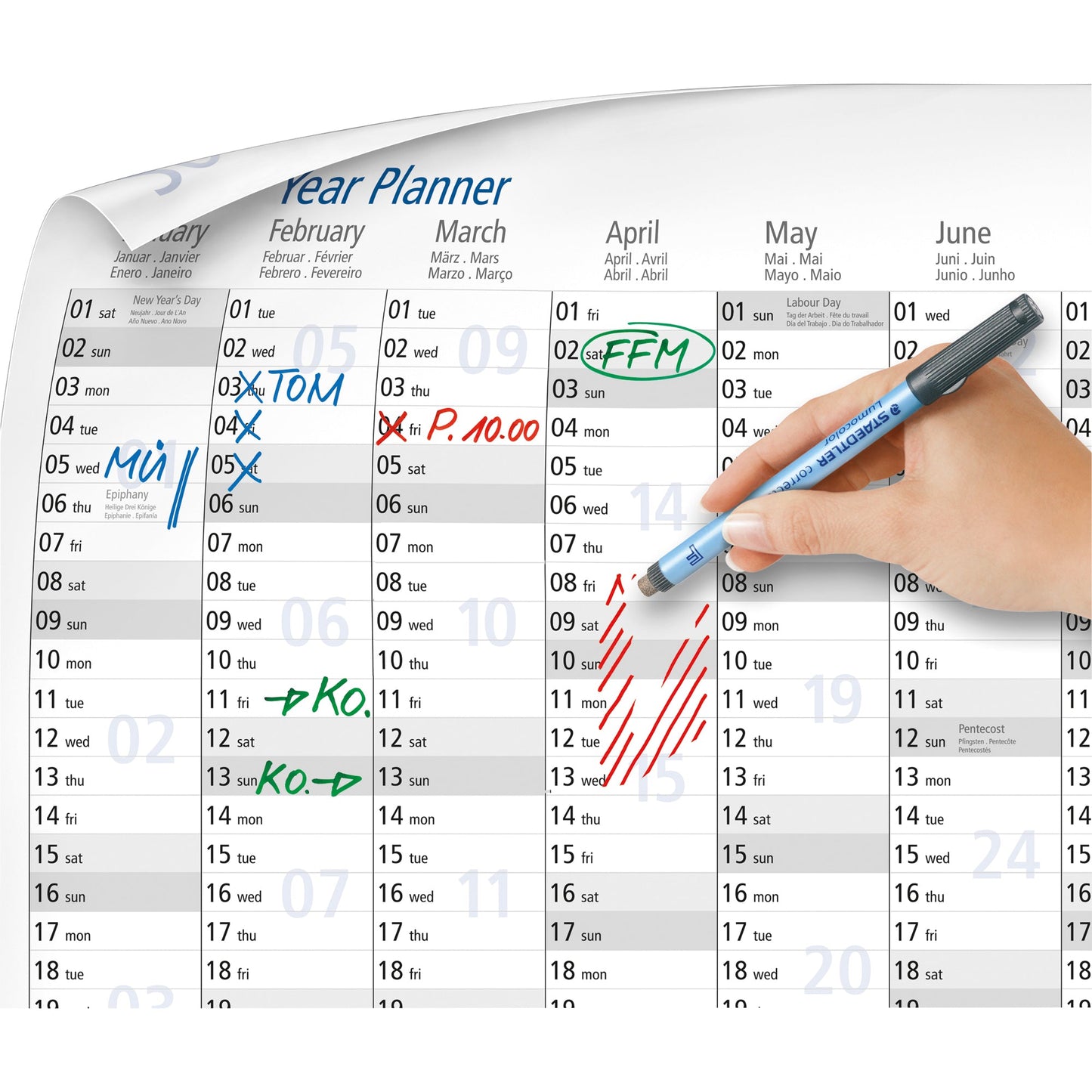 STAEDTLER® Plakatkalender Lumocolor® 2026 DIN A3 12 Monate/1 Seite Kunststoff