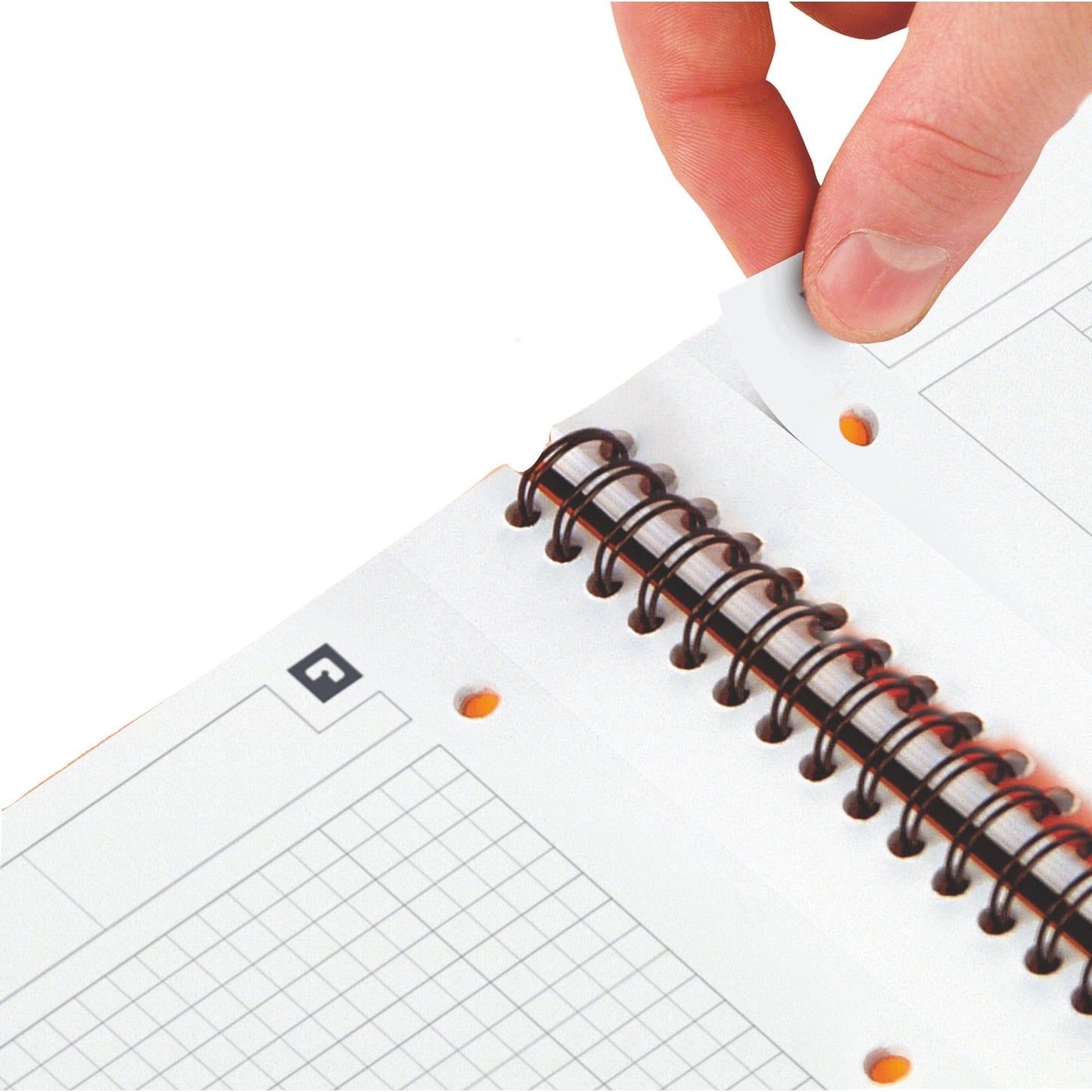 Oxford Collegeblock International Notebook DIN A4+ kariert Karton grau/orange/rot 80 Bl.
