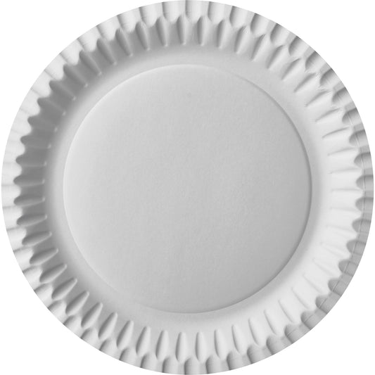PAPSTAR Speiseteller Einweg 23cm weiß 100 St./Pack.