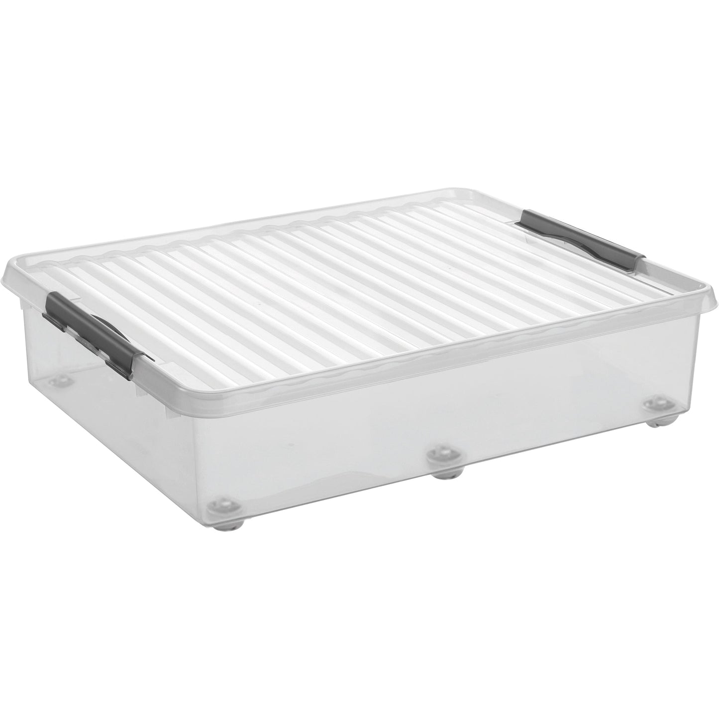 Sunware Aufbewahrungsbox Q-line 80 x 20 x 50 cm (B x H x T) 60l Kunststoff transparent