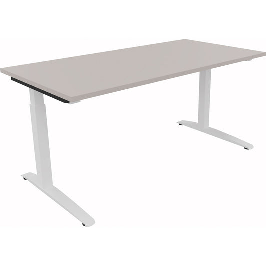 Schreibtisch all in one Maße: 1.600 x 650-850 x 800 mm (B x H x T) Holz lichtgrau