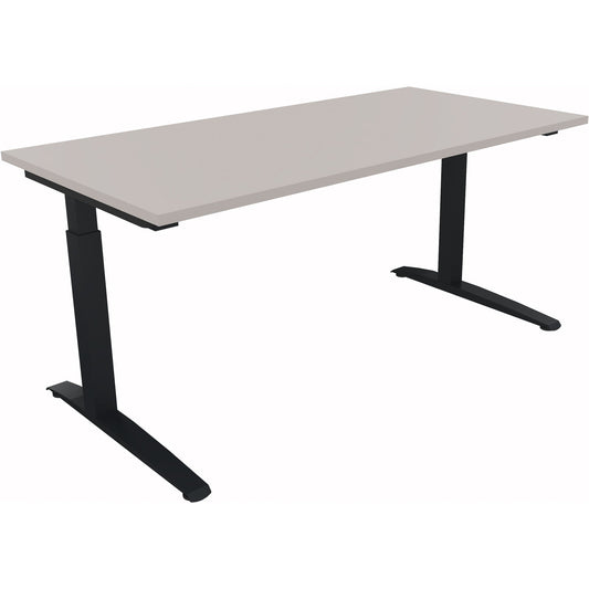 Schreibtisch all in one Maße: 1.600 x 650-850 x 800 mm (B x H x T) Holz lichtgrau