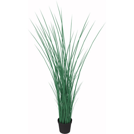 Zimmerpflanze Seegras 95cm grün