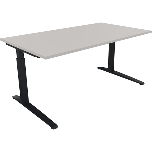 Schreibtisch all in one Maße: 1.600 x 650-850 x 900 mm (B x H x T) Holz lichtgrau