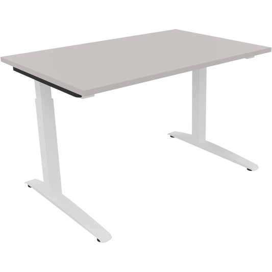 Schreibtisch all in one Maße: 1.200 x 650-850 x 800 mm (B x H x T) Holz lichtgrau