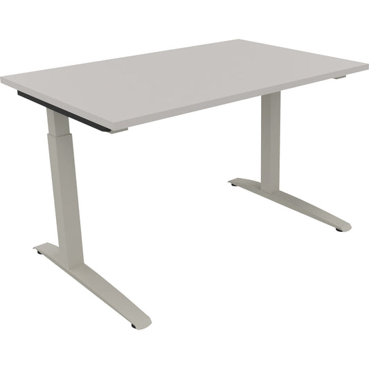 Schreibtisch all in one Maße: 1.200 x 650-850 x 800 mm (B x H x T) Holz lichtgrau