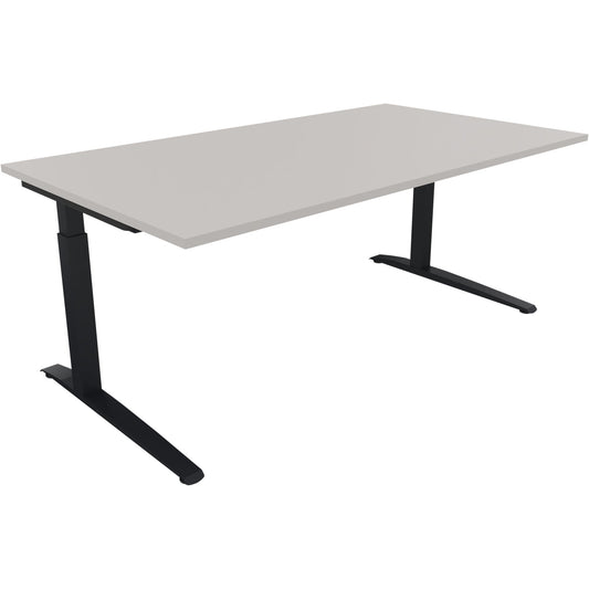 Schreibtisch all in one Maße: 1.600 x 650-850 x 700 mm (B x H x T) Holz lichtgrau