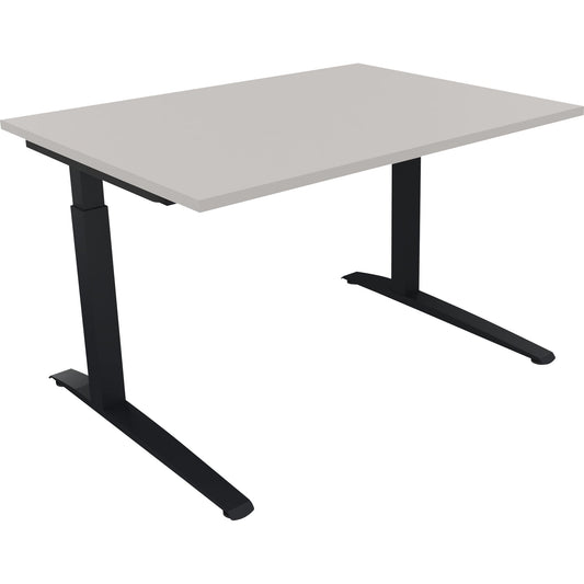 Schreibtisch all in one Maße: 1.200 x 650-850 x 900 mm (B x H x T) Holz lichtgrau