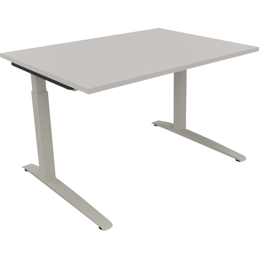 Schreibtisch all in one Maße: 1.200 x 650-850 x 900 mm (B x H x T) Holz lichtgrau