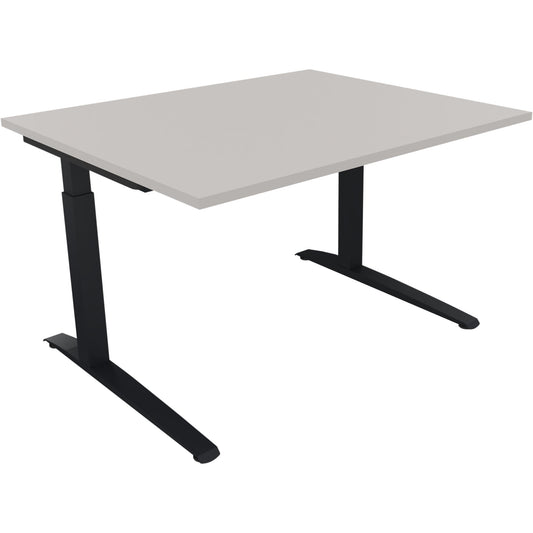 Schreibtisch all in one Maße: 1.200 x 650-850 x 1.000 mm (B x H x T) Holz lichtgrau