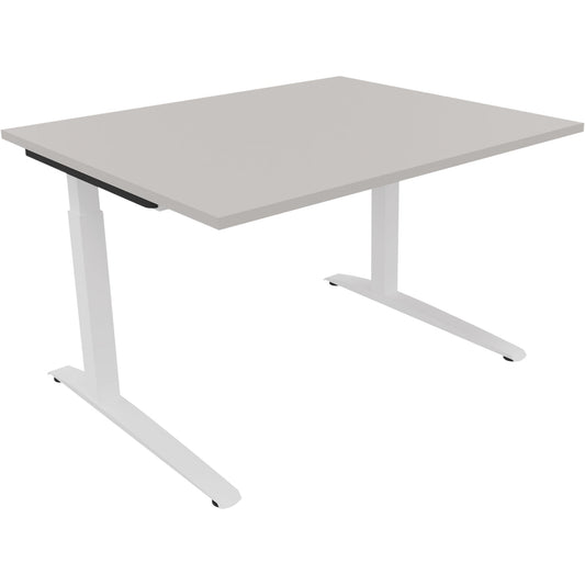 Schreibtisch all in one Maße: 1.200 x 650-850 x 1.000 mm (B x H x T) Holz lichtgrau
