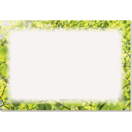 Soennecken Schreibunterlage oeco 59,4 x 42 cm (B x H) ohne Kalender 100 % Recyclingpapier weiß/grün 20 Bl.