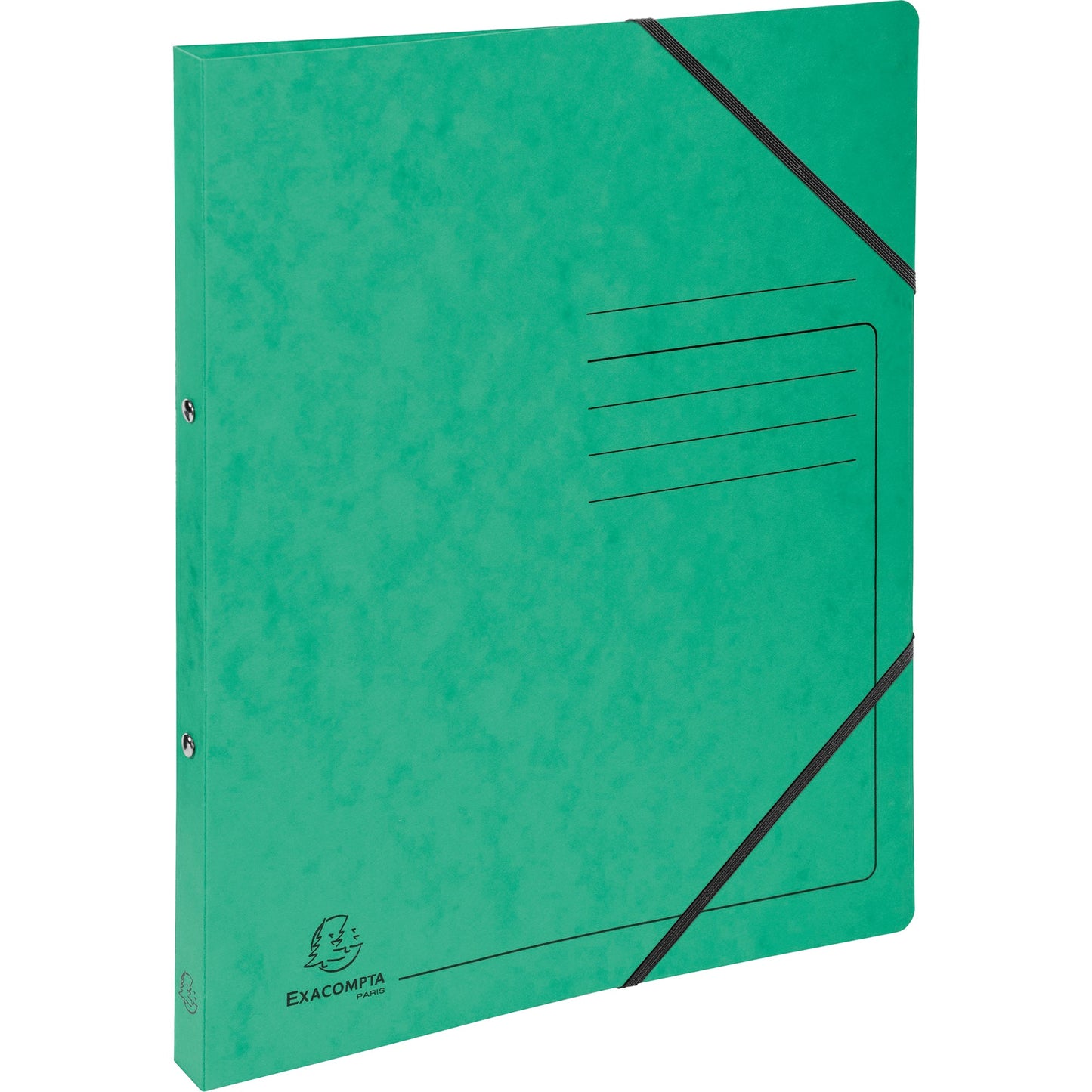 Exacompta Ringbuch DIN A4 Colorspankarton grün