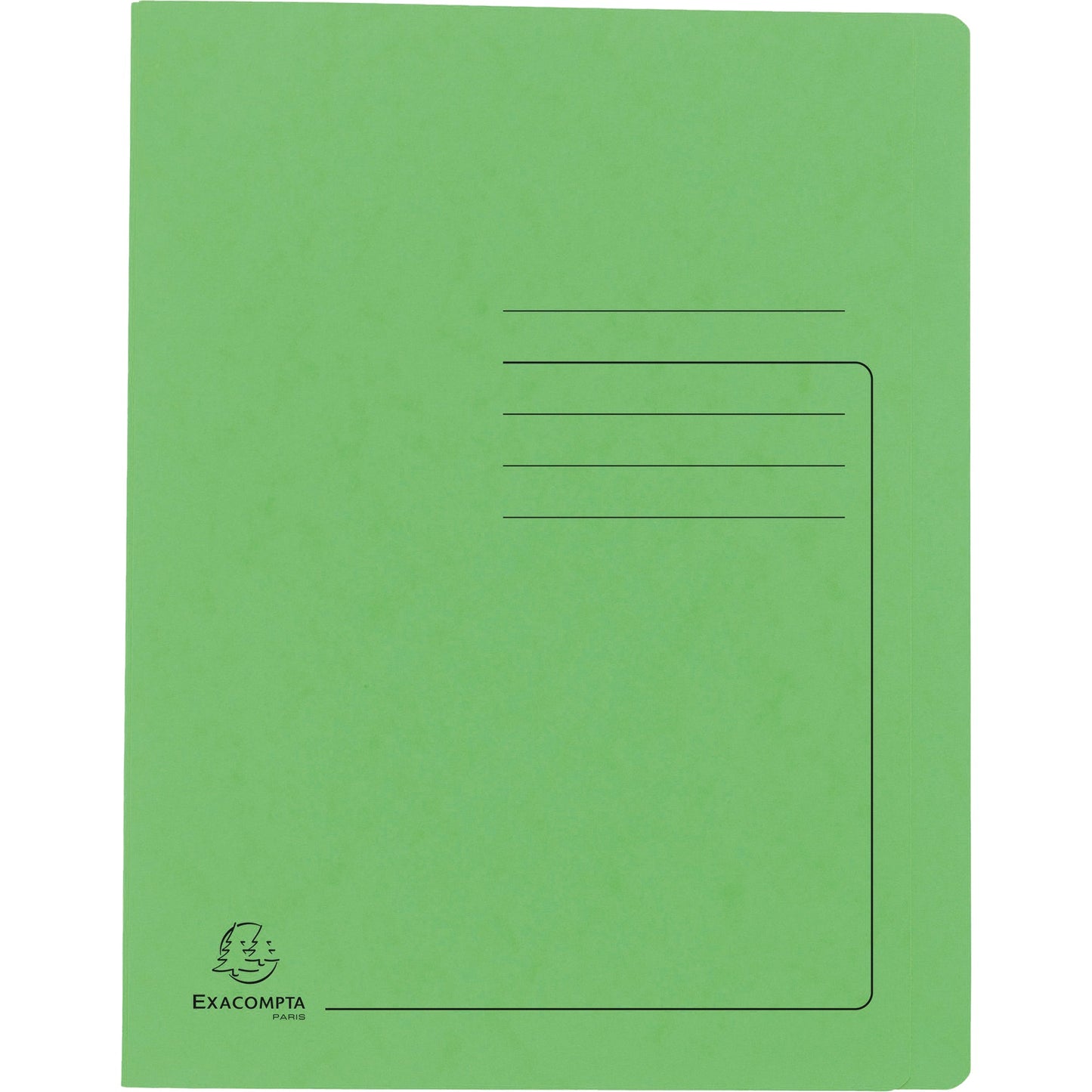 Exacompta Schnellhefter DIN A4 355g/m² Colorspankarton lindgrün
