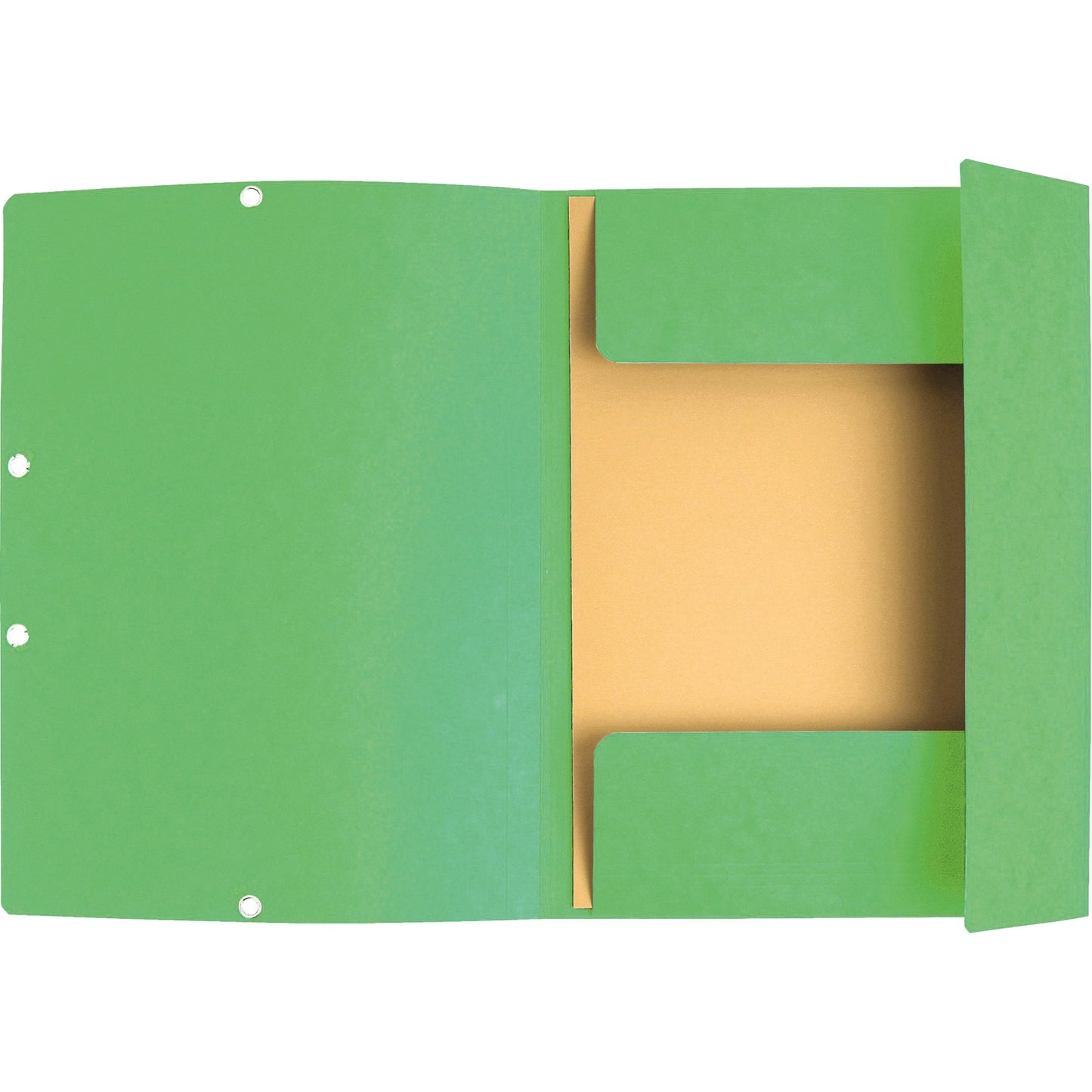 Exacompta Sammelmappe DIN A4 400g/m² Colorspankarton hellgrün