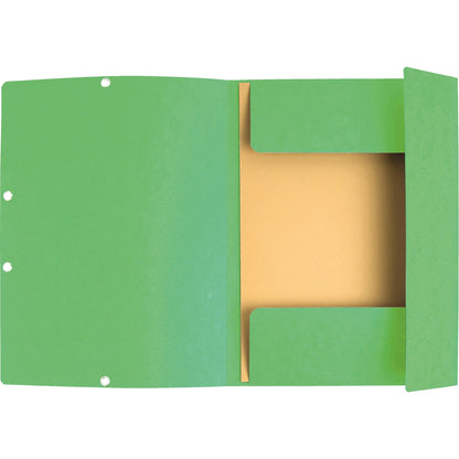 Exacompta Sammelmappe DIN A4 400g/m² Colorspankarton hellgrün