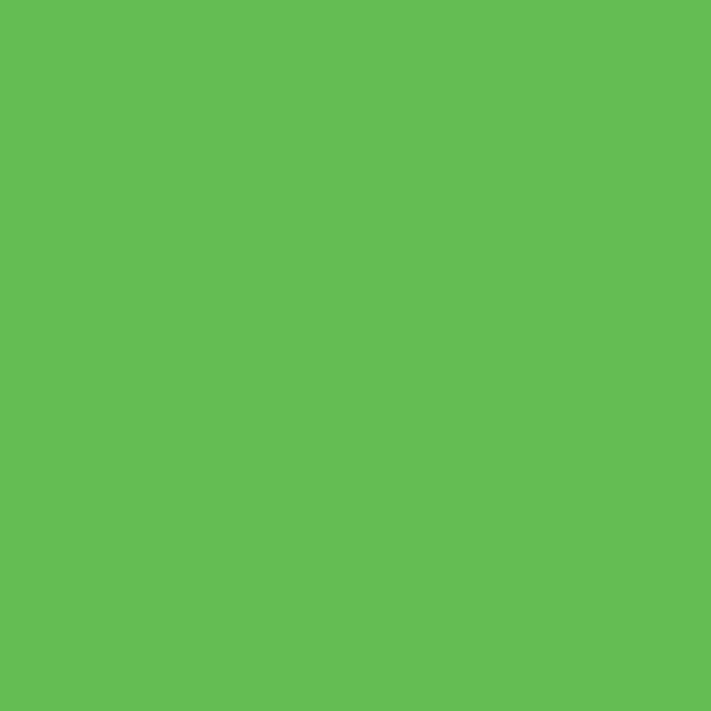 HEYDA Fotokarton 300g/m² 100 % Recyclingpapier grasgrün 25 St./Pack.