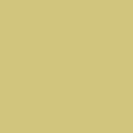 HEYDA Fotokarton 300g/m² 100 % Recyclingpapier gold matt 25 St./Pack.