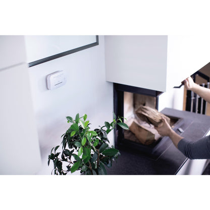 brennenstuhl® Kohlenmonoxidmelder 85dB elektrochemisch AA/Mignon Batterien im Lieferumfang enthalten