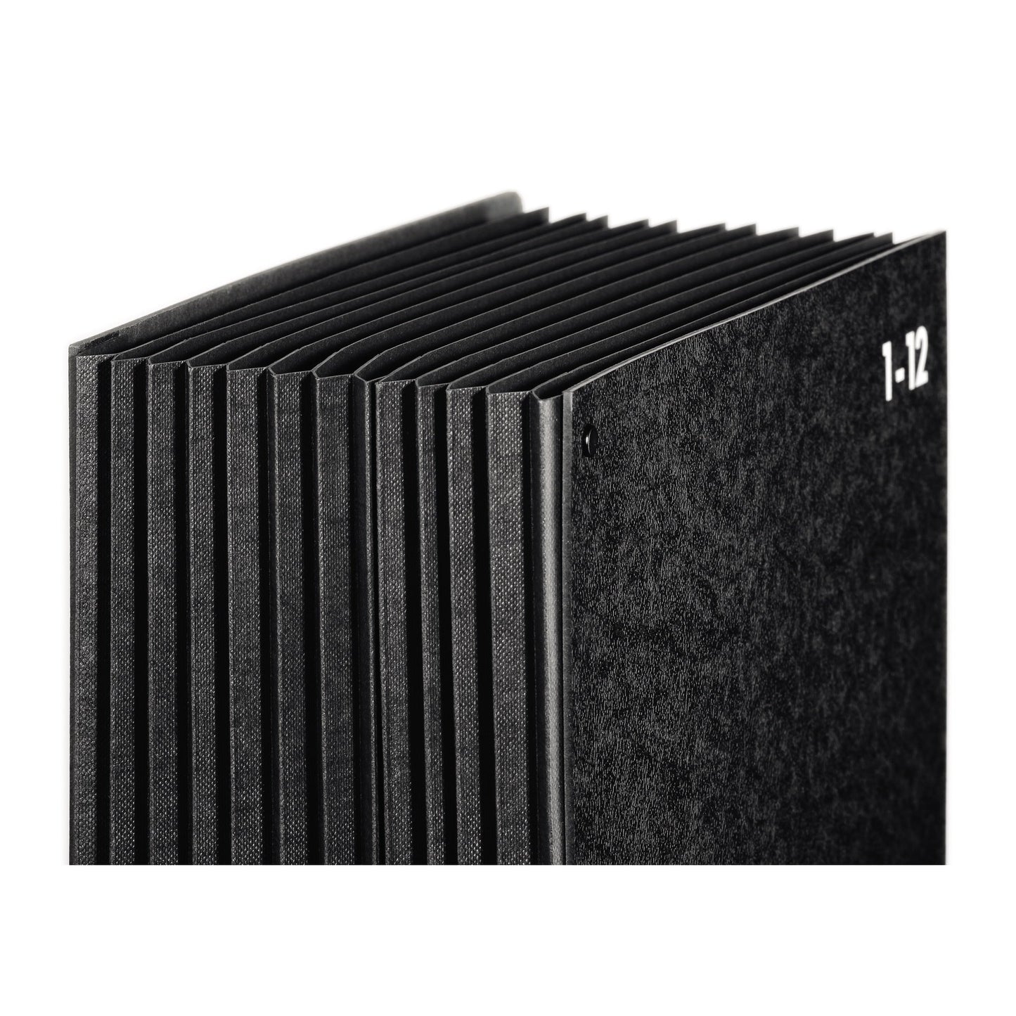 PAGNA Pultordner Classic DIN A4 1-12, Jan.-Dez. Hartpappe, 80 % recycelt schwarz 12 Fächer