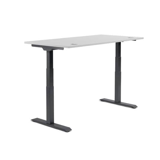 Schreibtisch FLEX MODUL Maße: 1.200 x 605-1.255 x 800 mm (B x H x T) Spanplatte, melaminharzbeschichtet lichtgrau