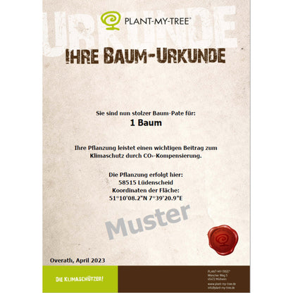 Spendenbaum Setzling 40-120cm Inkl. Baum-Urkunde sowie Pflanz-Koordinaten als pdf