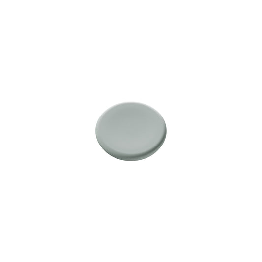 Legamaster Magnet 30mm 0,204kg Metall salbeigrün 5 St./Pack.