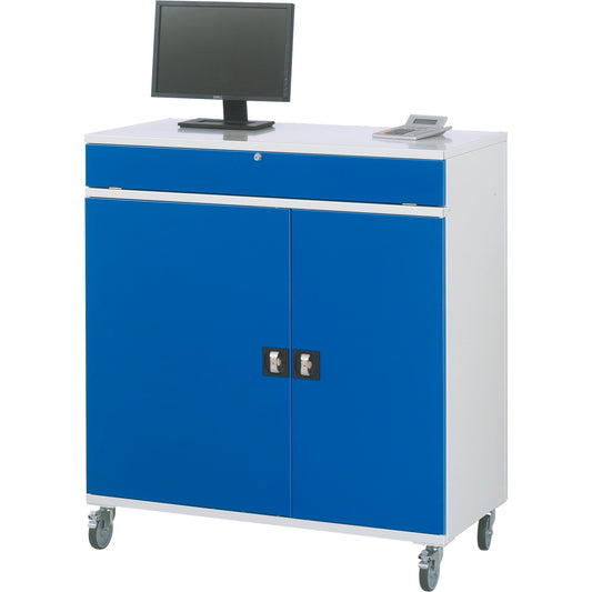 RAU PC-Arbeitsplatz Modell 60 1.100 x 1.185 x 520 mm (B x H x T) abschließbar Stahl, pulverbeschichtet