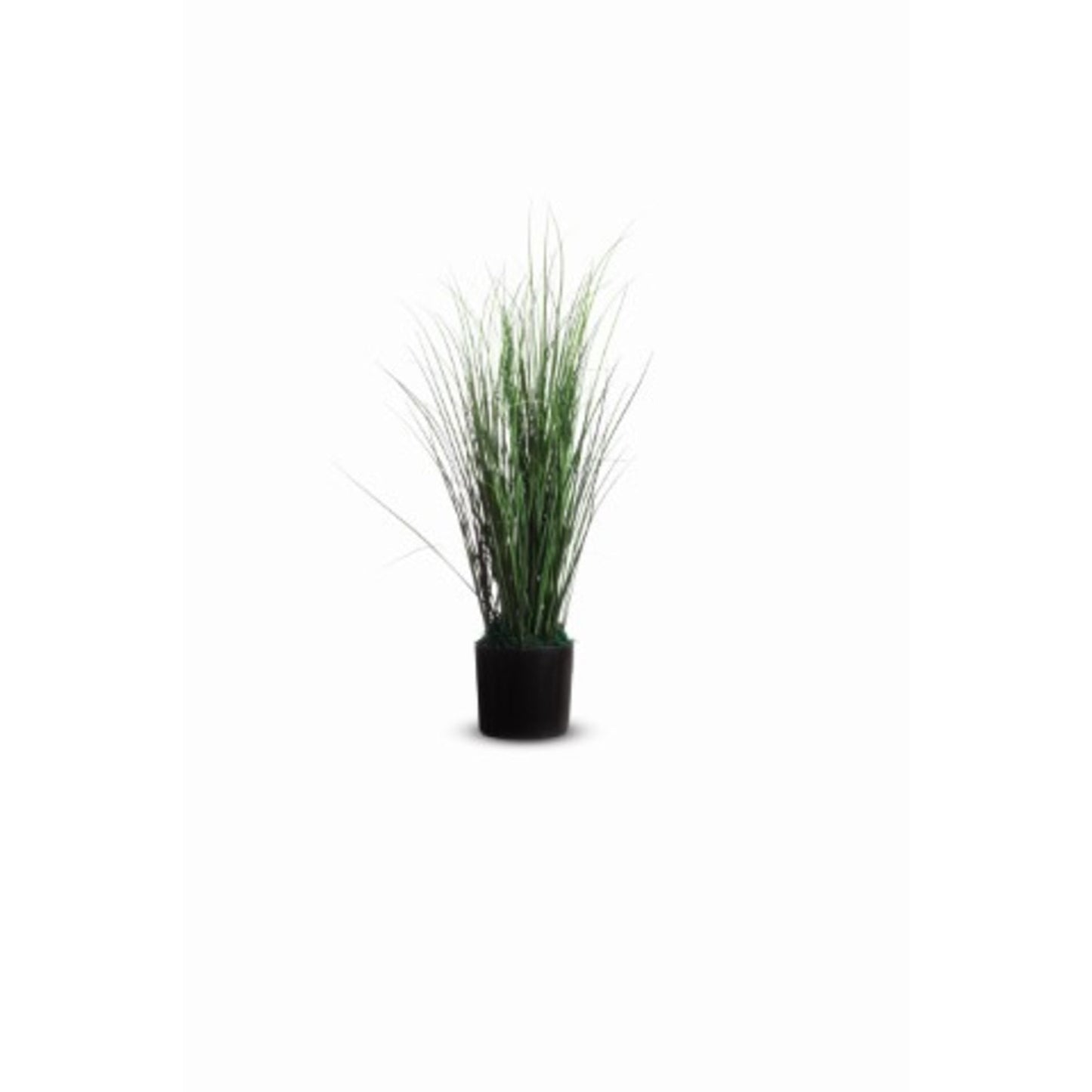 Paperflow Zimmerpflanze Gras 26 x 55 cm (B x H) PVC grün