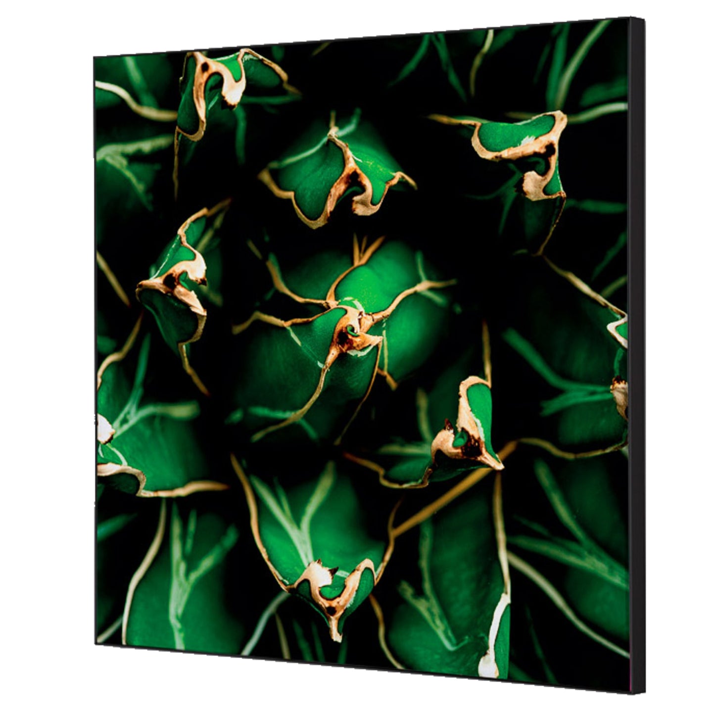 Showdown® Displays Dekobild Kaktus 40 x 40 cm (B x H) Holz