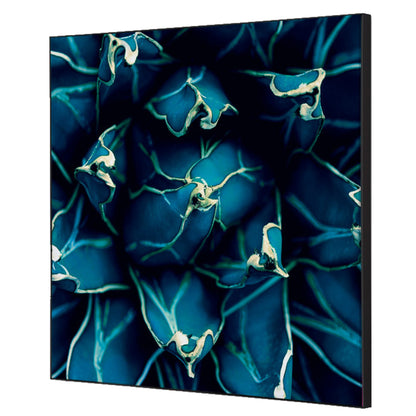 Showdown® Displays Dekobild Kaktus 40 x 40 cm (B x H) Holz