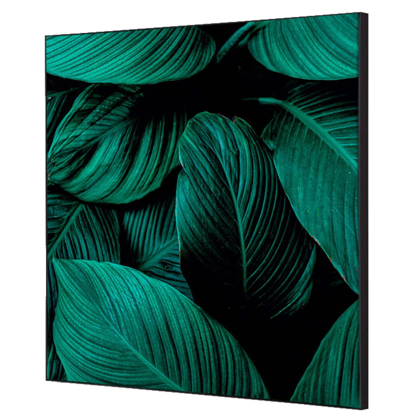 Showdown® Displays Dekobild Botanische Blätter 40 x 40 cm (B x H) Holz