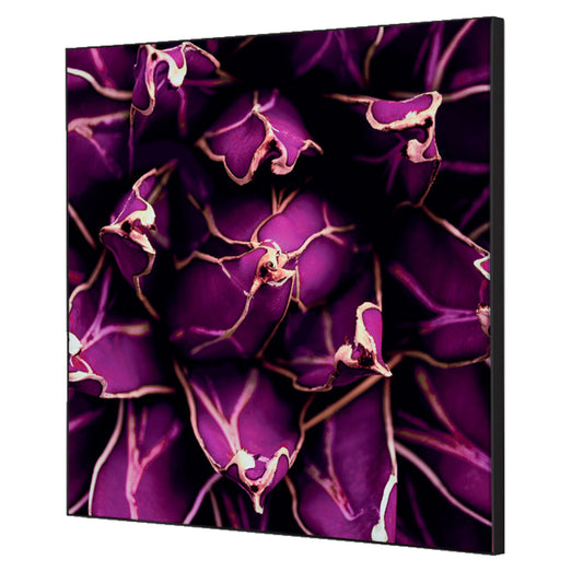 Showdown® Displays Dekobild Kaktus 40 x 40 cm (B x H) Holz