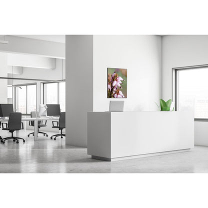 Showdown® Displays Dekobild Pinke Blume Erica 84,1 x 59,4 cm (B x H) Holz