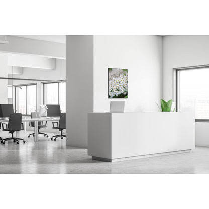 Showdown® Displays Dekobild Weiße Blume Spirea 84,1 x 59,4 cm (B x H) Holz