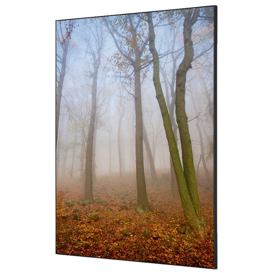 Showdown® Displays Dekobild Herbstnebel 84,1 x 59,4 cm (B x H) Holz
