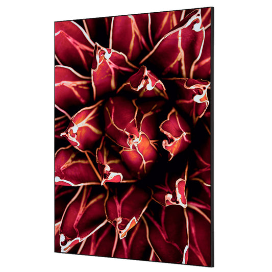 Showdown® Displays Dekobild Kaktus 84,1 x 59,4 cm (B x H) Holz