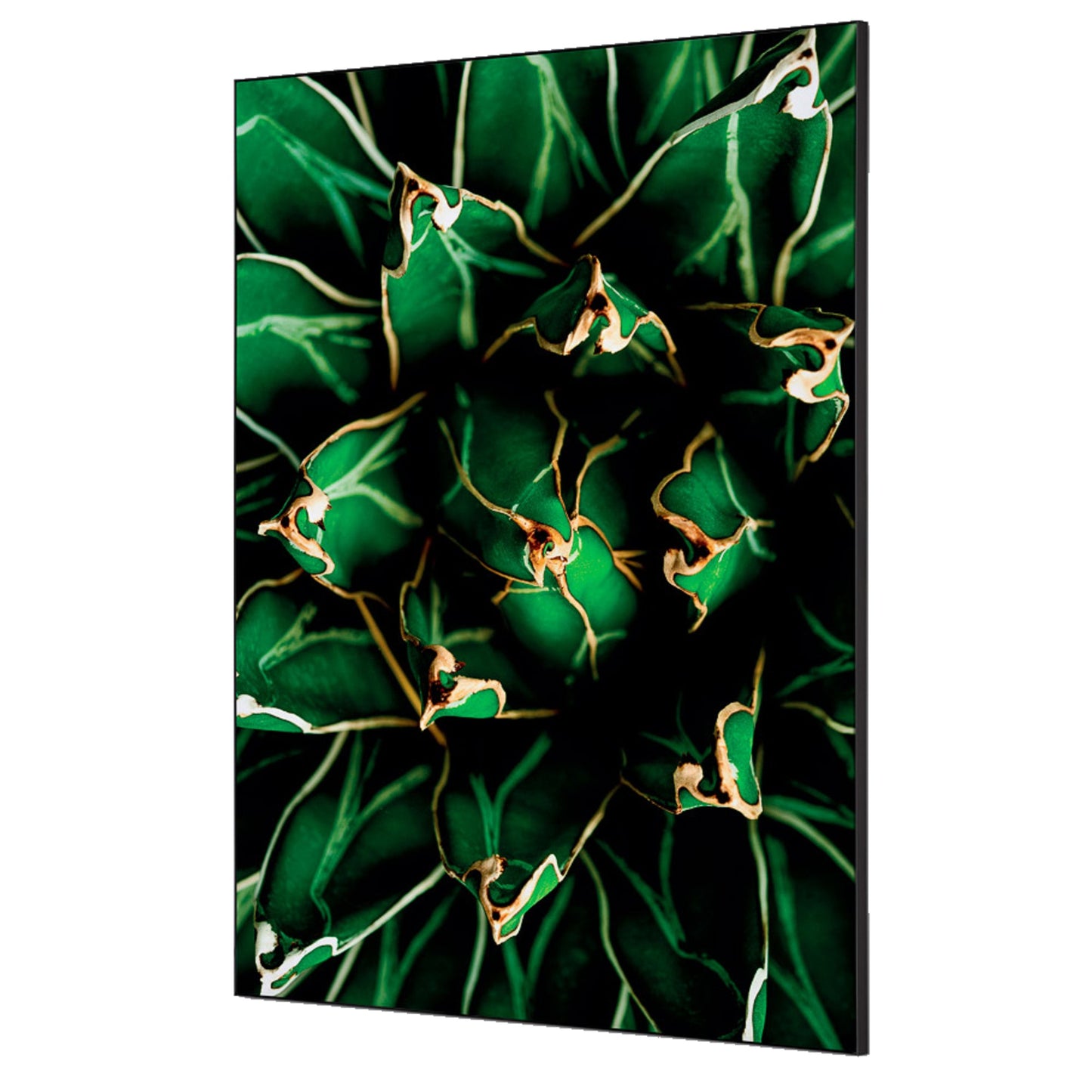 Showdown® Displays Dekobild Kaktus 84,1 x 59,4 cm (B x H) Holz