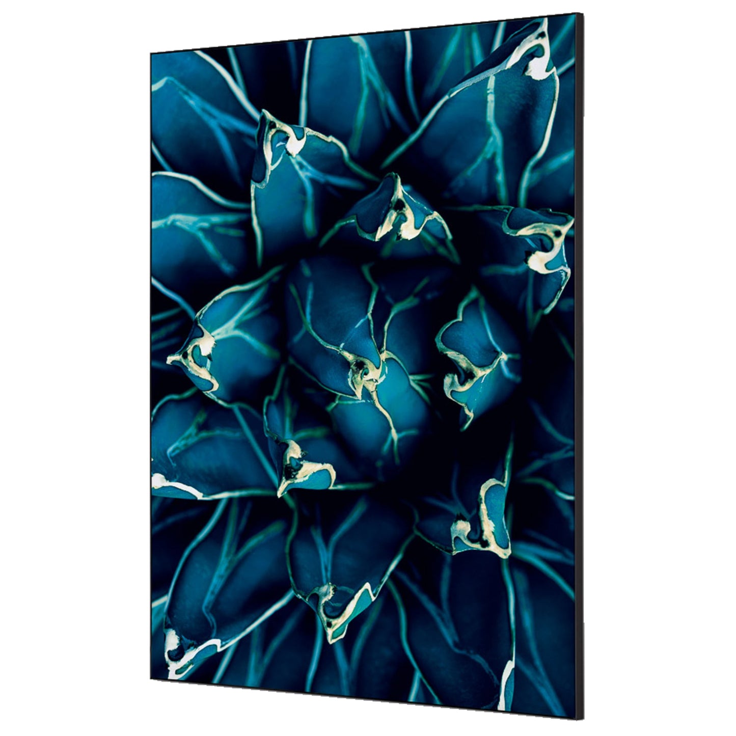 Showdown® Displays Dekobild Kaktus 84,1 x 59,4 cm (B x H) Holz