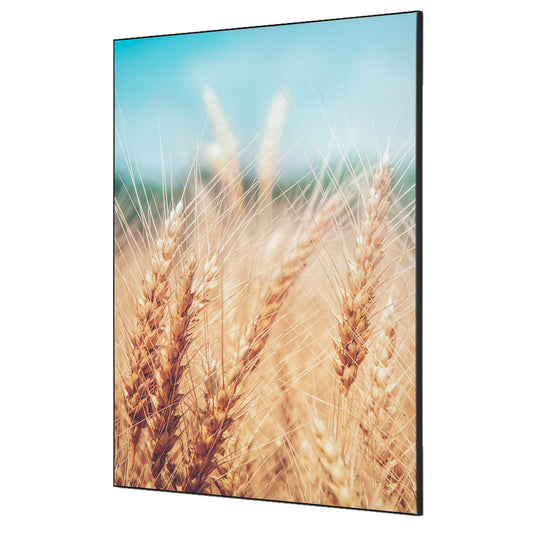 Showdown® Displays Dekobild Getreidefeld 84,1 x 59,4 cm (B x H) Holz
