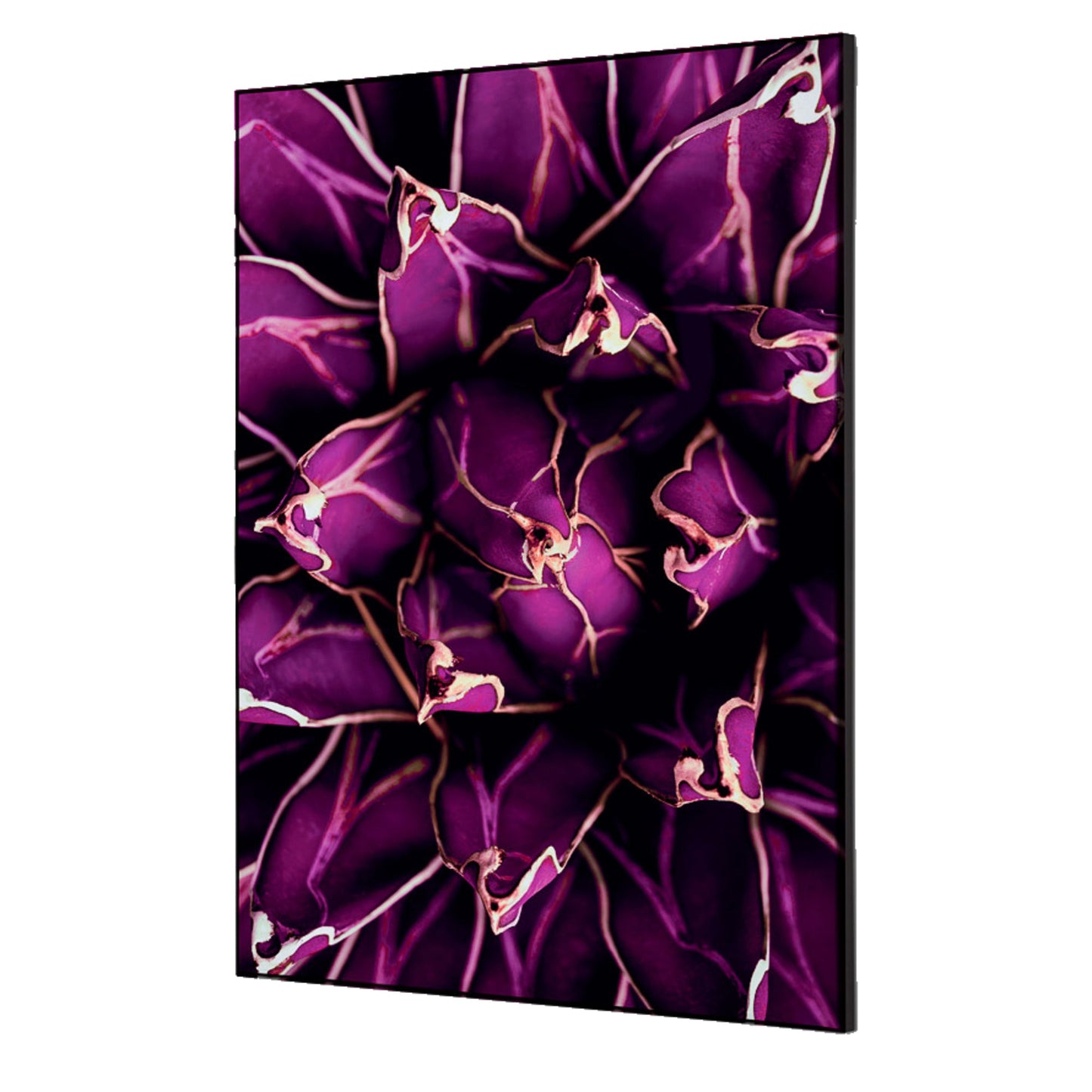 Showdown® Displays Dekobild Kaktus 42 x 59,4 cm (B x H) Holz
