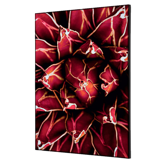 Showdown® Displays Dekobild Kaktus 42 x 59,4 cm (B x H) Holz