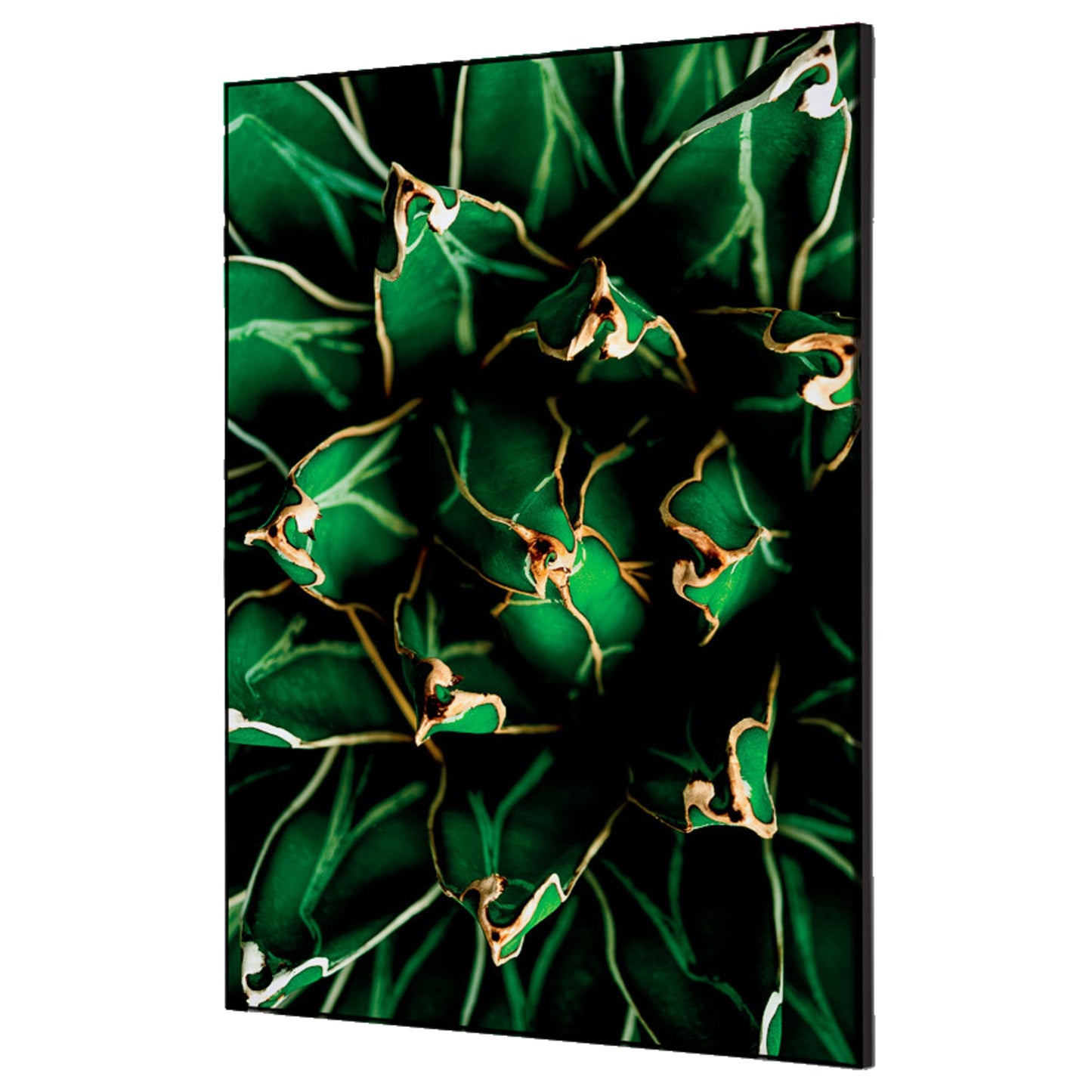 Showdown® Displays Dekobild Kaktus 42 x 59,4 cm (B x H) Holz