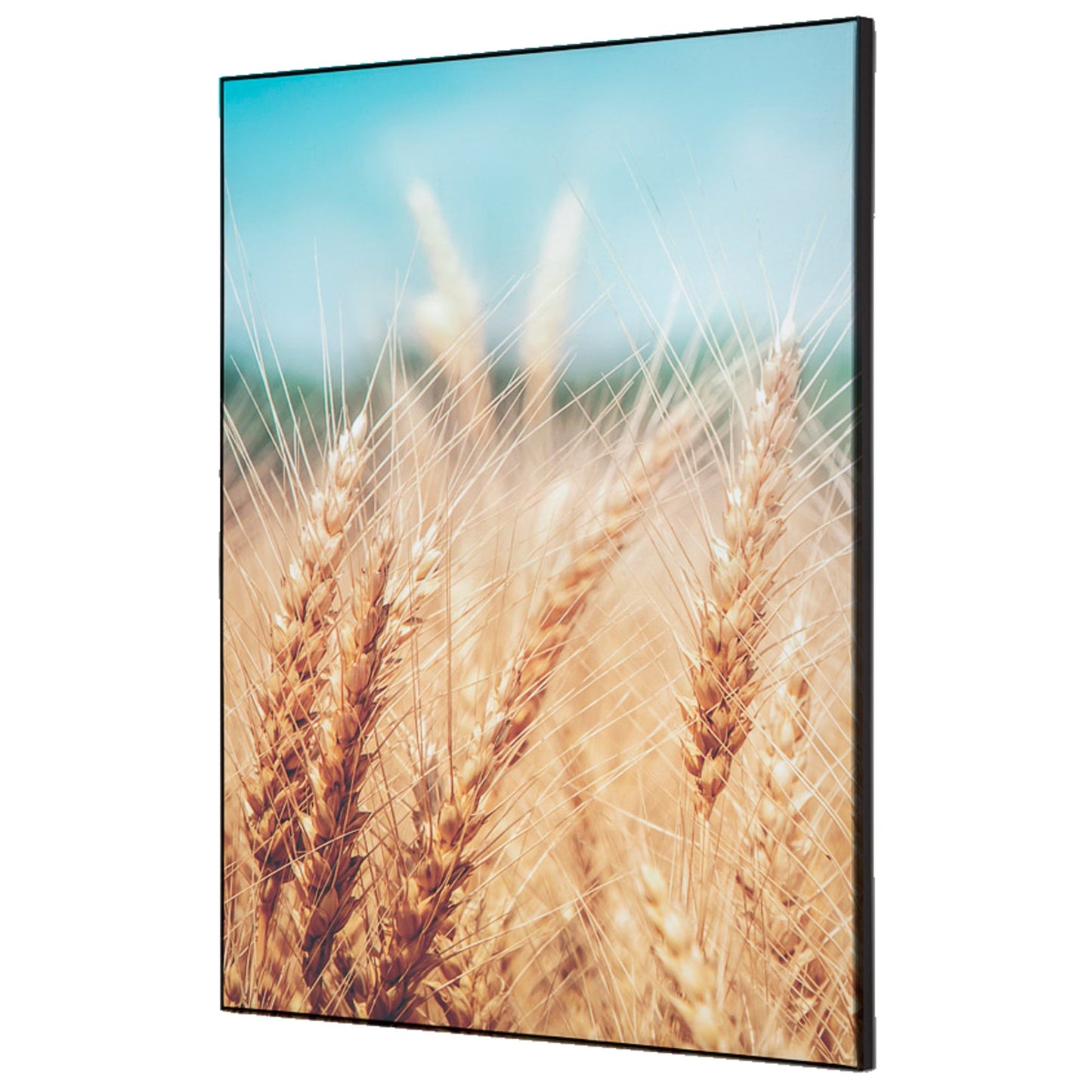 Showdown® Displays Dekobild Getreidefeld 42 x 59,4 cm (B x H) Holz
