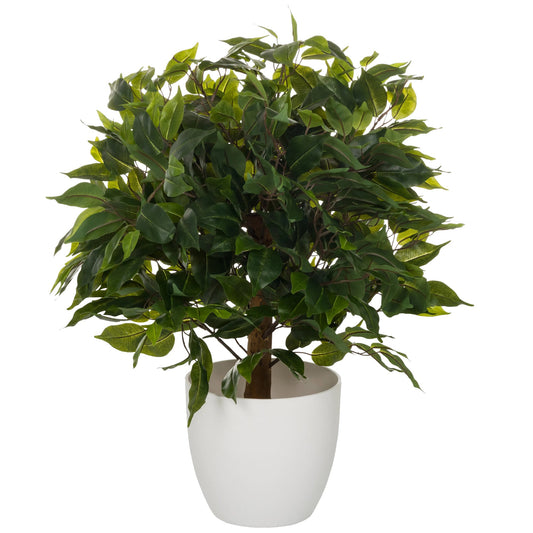 hjh OFFICE Zimmerpflanze FICUS II 40 x 65 x 40 cm (B x H x T) Kunststoff grün
