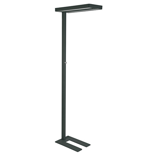 Stehleuchte C 52 kWh/1.000h LED anthrazit