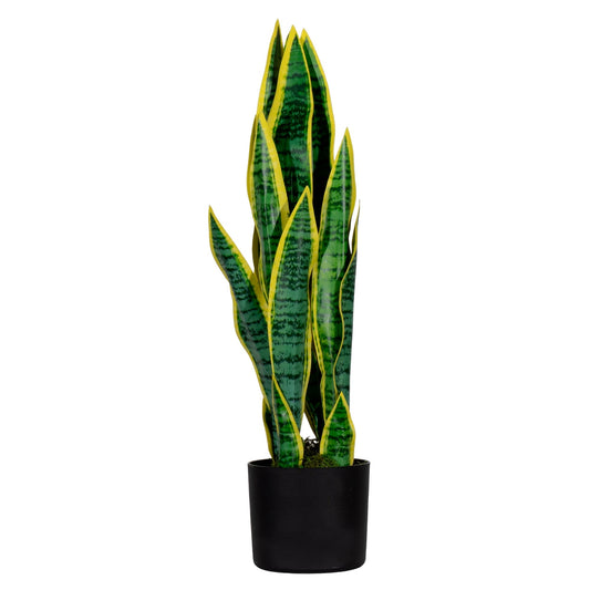 Paperflow Zimmerpflanze meet Sansevieria 65cm Polyethylvinylacetat/Kunststoff grün