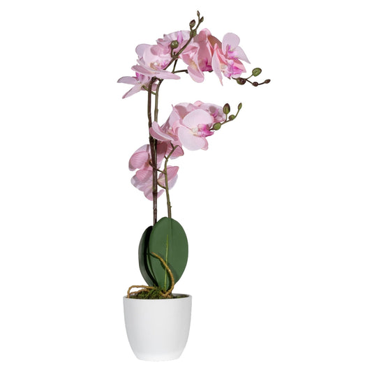 Paperflow Zimmerpflanze meet Orchidee 40cm Seide/Kunststoff grün/rose