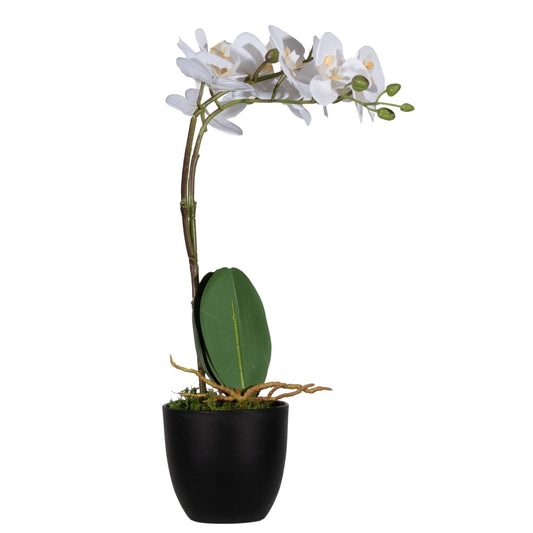 Paperflow Zimmerpflanze meet Orchidee 40cm Seide/Kunststoff grün/weiß